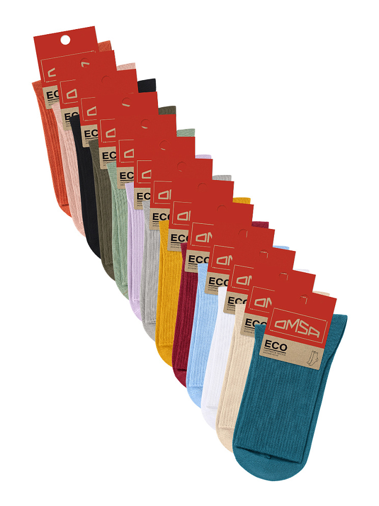 OMSA ECO 254, OMSA