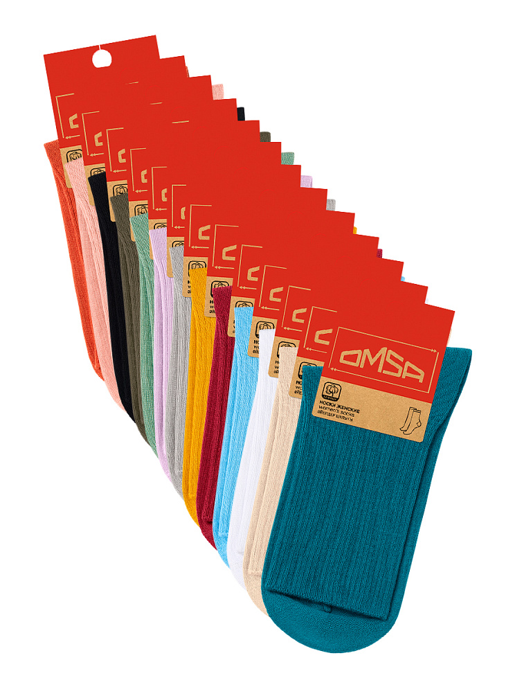 OMSA ECO 254, OMSA
